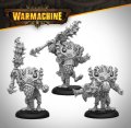 Warmachine: Spirit Shamans