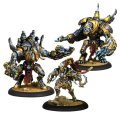 Warmachine: Orgoth Sea Raiders Battlegroup Box