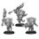 画像5: Warmachine: Southern Kriels Fire Tongue Warriors Cadre