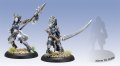 Legion of Everblight: Saeryn & Rhyas, Talons of Everblight Epic Blighted Nyss Warlock Unit (2) 【メーカー直販のみ 在庫限り】