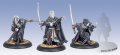 [Legion of Everblight ] - Blackfrost Shard Character Unit(3)