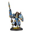 画像2: Warmachine: Cygnar Storm Legion Battlegroup Box