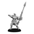 画像6: Warmachine: Cygnar Storm Legion Auxiliary Expansion