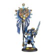 画像7: Warmachine: Cygnar Storm Legion Core Expansion