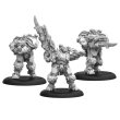 画像8: Warmachine: Cygnar Storm Legion Auxiliary Expansion