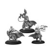 画像5: Warmachine: Dusk Ghosts of Ios Cadre Pre-order