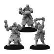 画像6: Warmachine: Khador Winter Korps Auxiliary Expansion