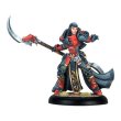 画像3: Warmachine: Khador Winter Korps Auxiliary Expansion