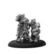 画像11: Warmachine: Warmachine: Khador Winter Korps Core Expansion