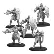 画像4: Warmachine: Orgoth Sea Raiders Core Expansion