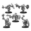 画像6: Warmachine: Southern Kriels Fire Tongue Warriors Cadre